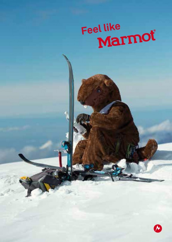 8 marmot postkarten 8